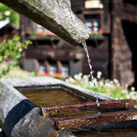 Horská chata Tschuggen 61